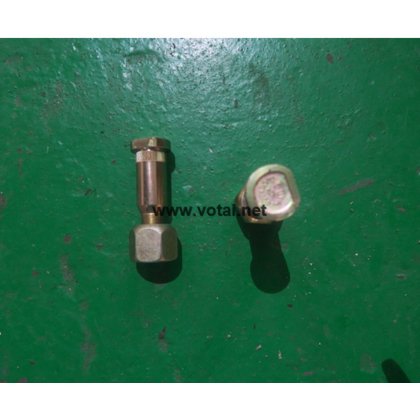 Bolt and nut for wheel